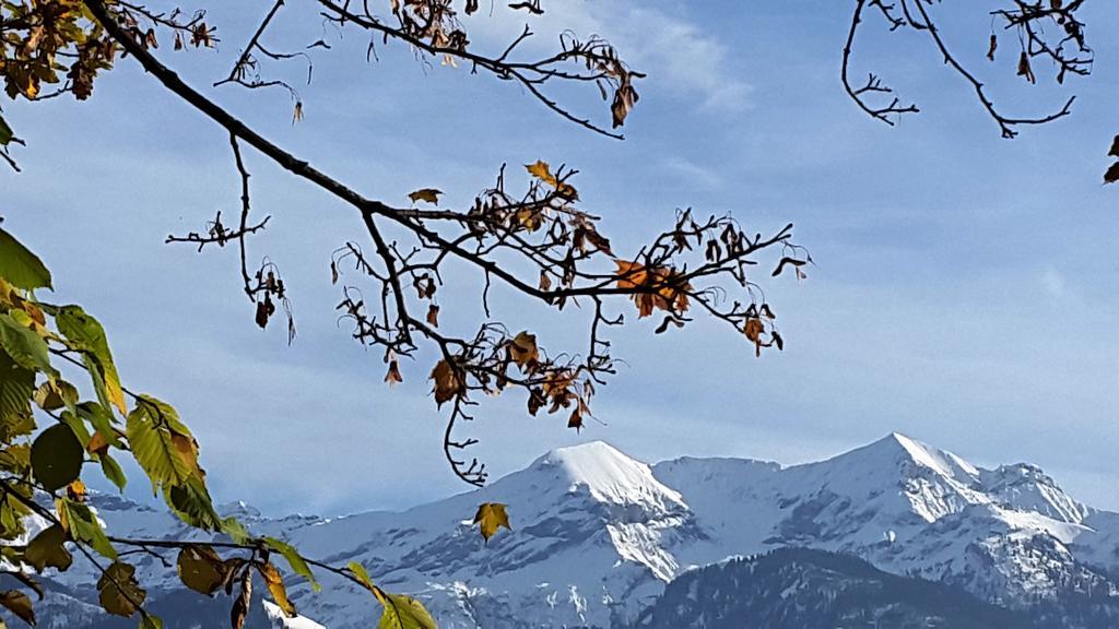 Apartamento Oase Zum Sein Spiez Exterior foto
